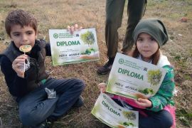 Studentii de la specializarea IAIM au participat la acțiunea de plantare