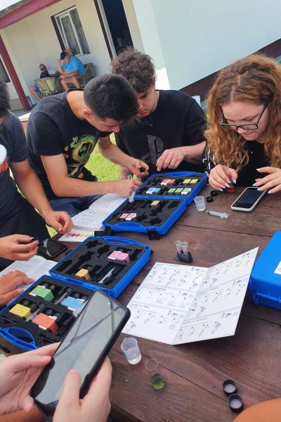 B221e226 E51f 418b A076 4a15bdf92e25